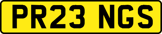 PR23NGS