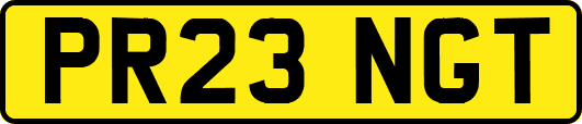 PR23NGT