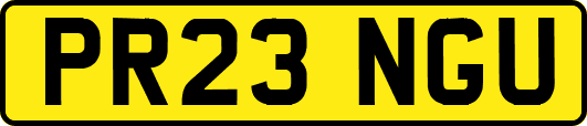 PR23NGU