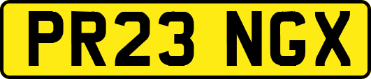 PR23NGX