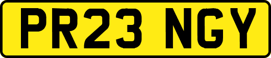 PR23NGY
