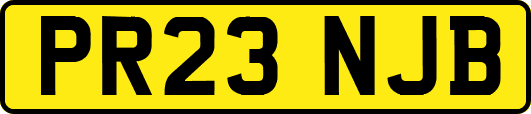 PR23NJB