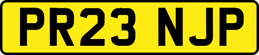 PR23NJP
