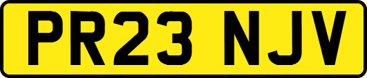 PR23NJV
