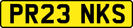 PR23NKS
