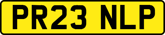 PR23NLP