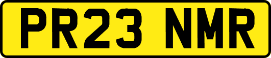 PR23NMR