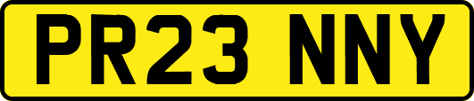 PR23NNY