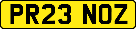 PR23NOZ