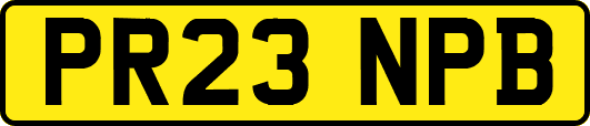 PR23NPB