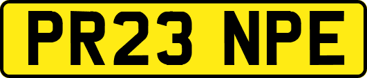 PR23NPE