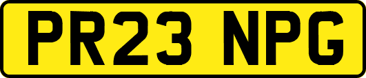 PR23NPG