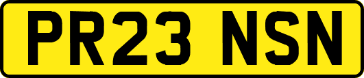 PR23NSN