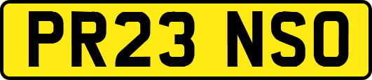 PR23NSO