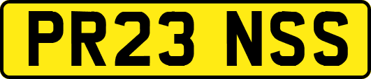 PR23NSS