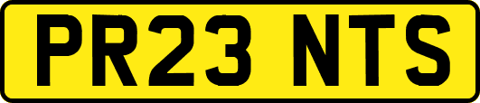 PR23NTS
