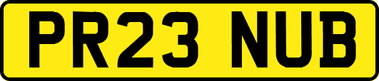PR23NUB