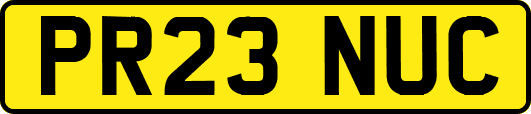 PR23NUC
