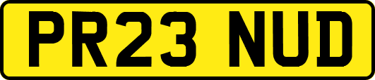 PR23NUD