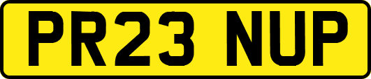 PR23NUP