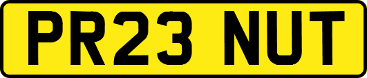 PR23NUT