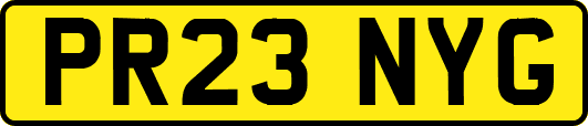 PR23NYG