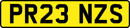 PR23NZS