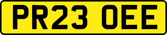 PR23OEE