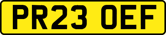 PR23OEF