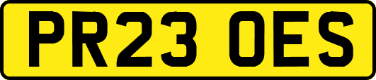PR23OES