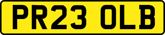 PR23OLB
