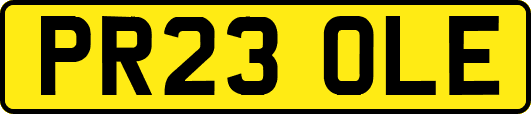 PR23OLE