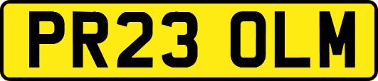 PR23OLM