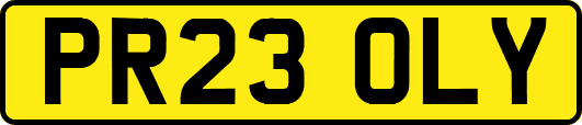 PR23OLY