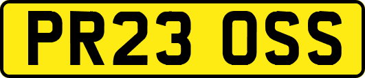 PR23OSS
