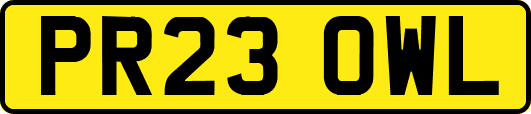 PR23OWL