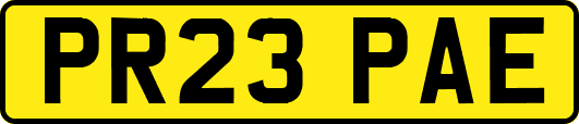 PR23PAE