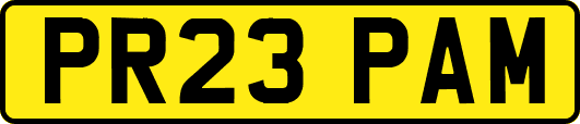 PR23PAM