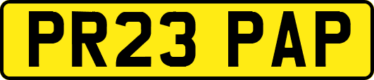 PR23PAP