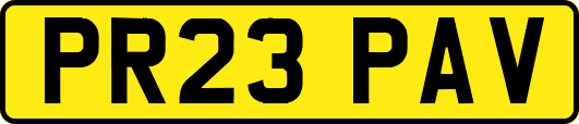 PR23PAV