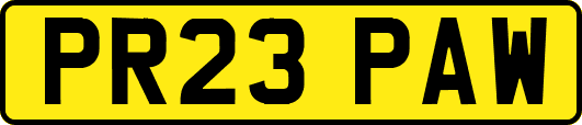 PR23PAW