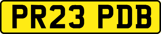 PR23PDB