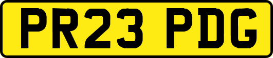 PR23PDG