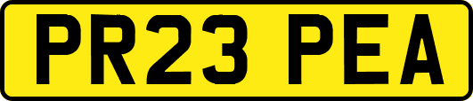 PR23PEA