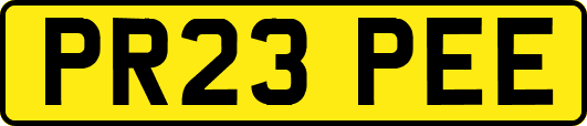 PR23PEE