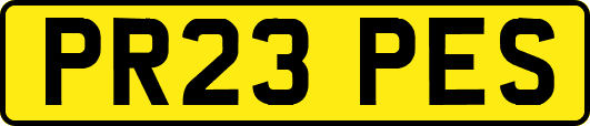 PR23PES