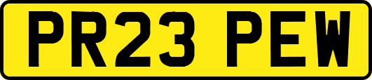 PR23PEW