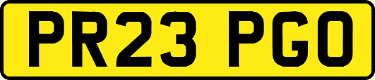 PR23PGO