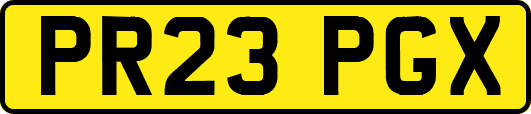 PR23PGX