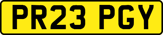 PR23PGY